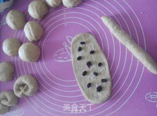 Whole Wheat Fancy Bread recipe