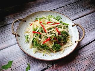 Coriander Mixed with Shredded White Radish recipe