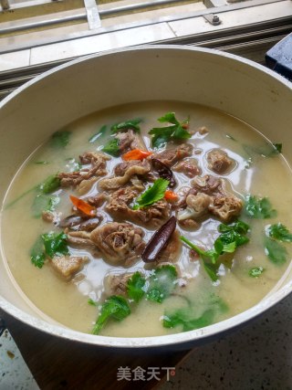 Cilantro Duck Soup recipe