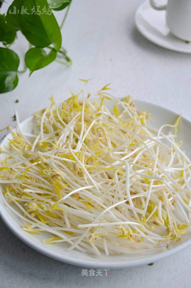 Mung Bean Sprouts recipe