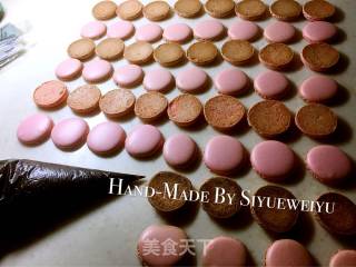 #trust of Beauty# Pink Macaron recipe