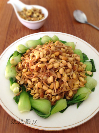 Vegetarian Stir-fried Soybean Sprouts recipe