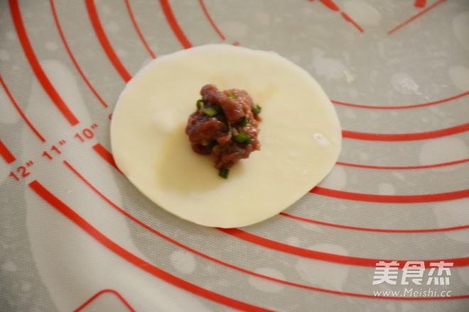 Egg Fried Dumplings recipe