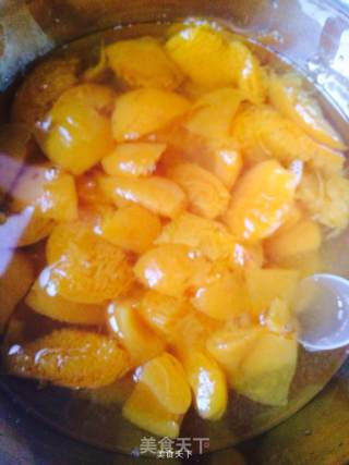 Canned Apricots Vs Syrup recipe