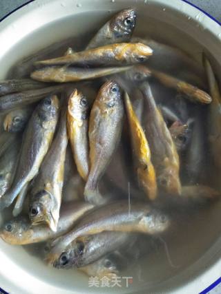 Canned Fish recipe