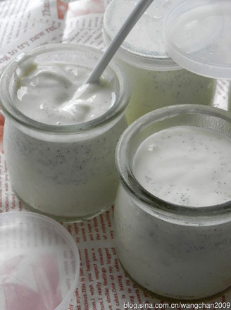 Vanilla Flavored Yogurt recipe