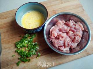 Pork and Egg Drop Soup recipe