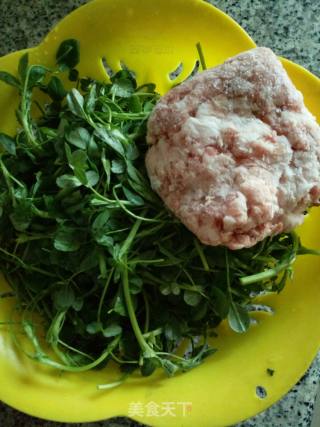 Alfalfa Dumplings ~ Alfalfa Meat Dumplings recipe