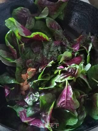 Amaranth with Garlic recipe