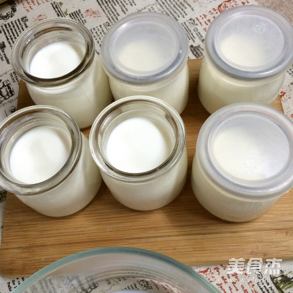 Homemade Yogurt in Bread Maker recipe