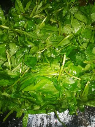 #春食野菜香#garlic Sprouts recipe
