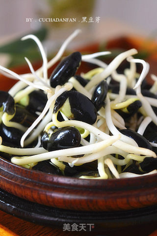 Homemade Black Bean Sprouts recipe