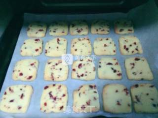 Cranberry Cookies recipe