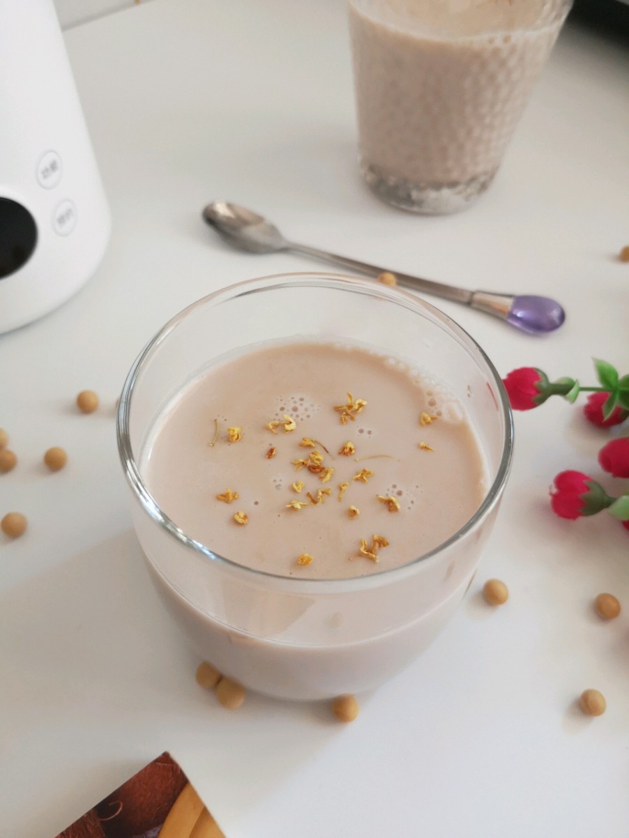 Walnut Soy Milk recipe