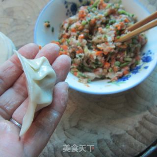 Fried Dumplings recipe