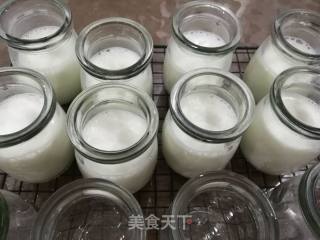 Homemade Yogurt recipe