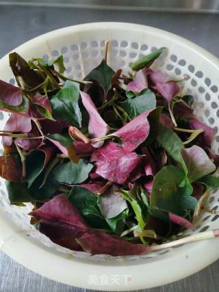 Houttuynia Cordata recipe