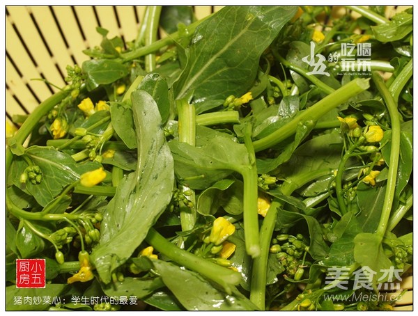 Pork Stir-fried Cabbage Heart: Favorite of Student Days recipe