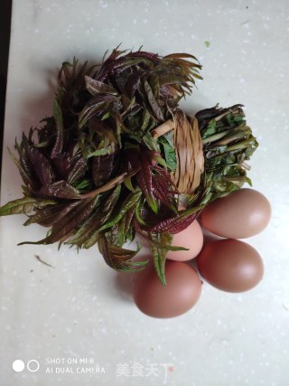 Scrambled Eggs with Wild Vegetables Toon recipe