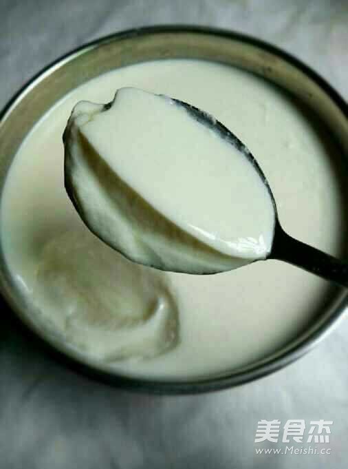 Homemade Old Yogurt recipe