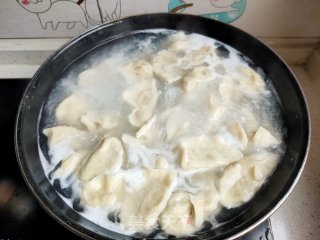 Pork Shrimp and Cabbage Dumplings recipe