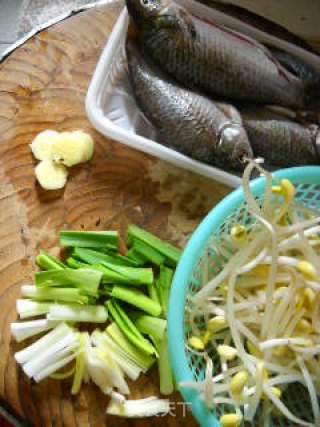 Bean Sprouts Stewed Crucian recipe