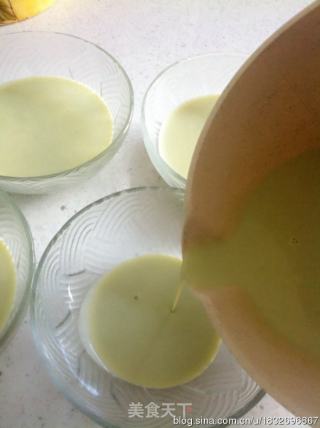 Green Tea Panna Cotta-green Tea Panna Cotta recipe