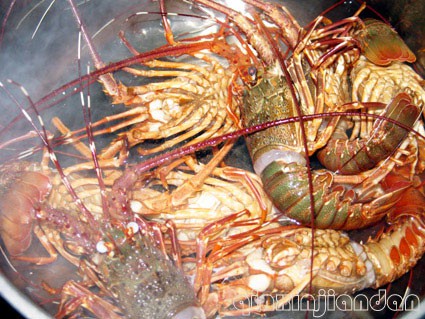 Boiled Lobster and Lobster Noodle Soup recipe