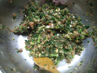 Wild Vegetable Meat Wonton recipe