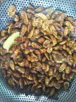 Fried Silkworm Chrysalis recipe