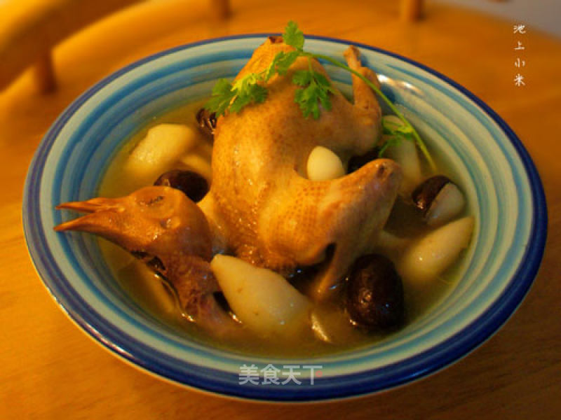 Ejiao Pigeon Soup recipe