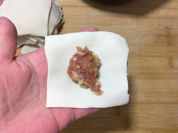 Pork Ingot Wonton recipe