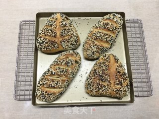 Whole Wheat Nut Soft European Buns recipe