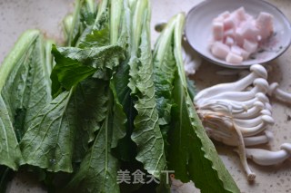 Stir-fried Cabbage with White Jade Mushroom recipe