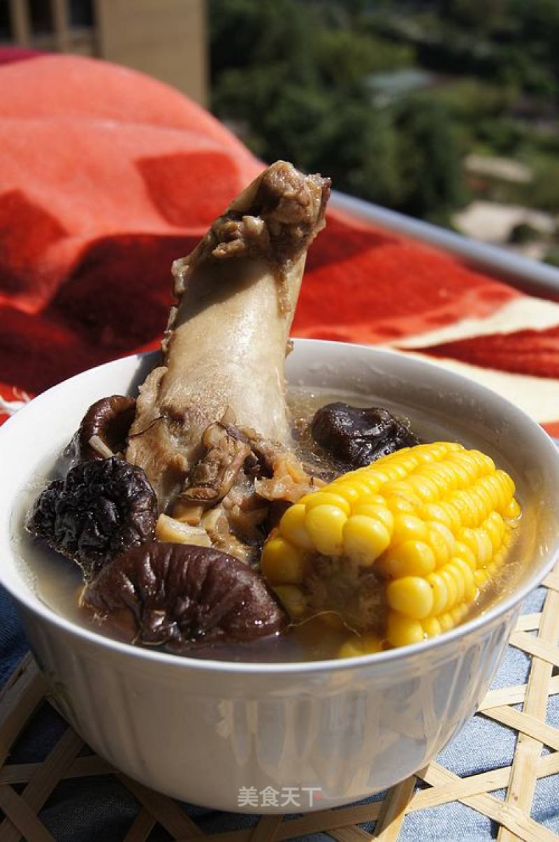 Nutritious and Delicious Big Bone Soup recipe