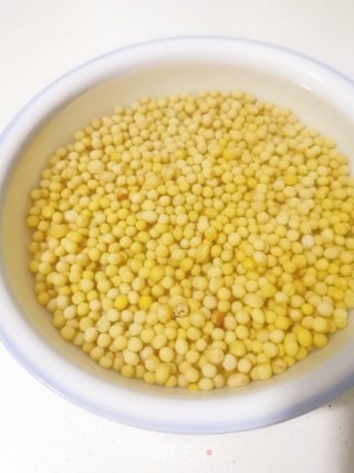 Homemade Soybean Sprouts recipe