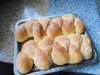 Wheat Bread recipe