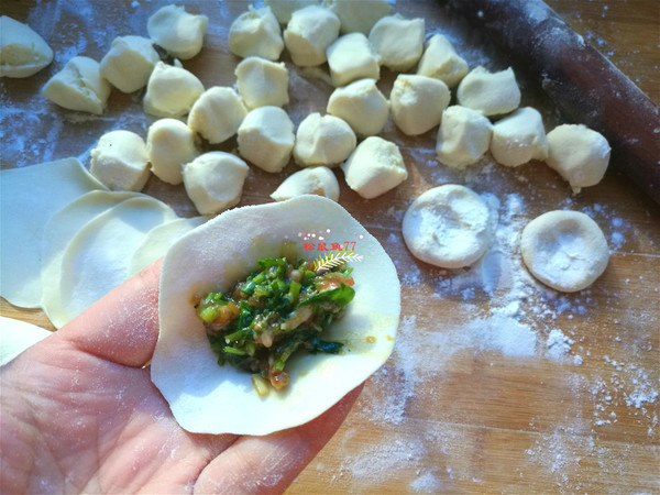 Beef Cilantro Dumplings recipe