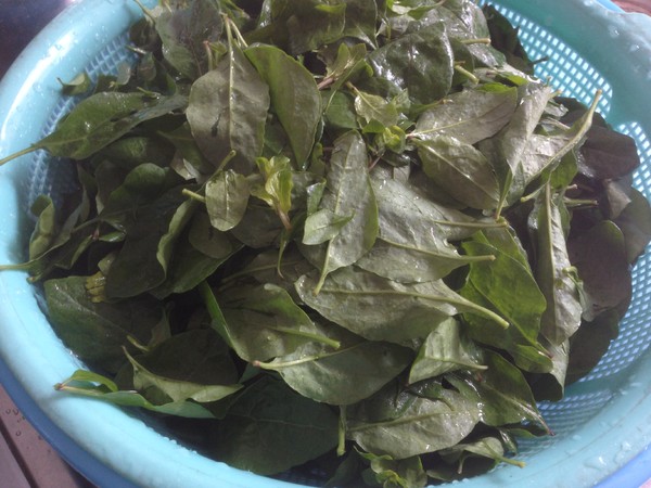 Wolfberry Leaf Pork Liver Lean Pork Soup recipe