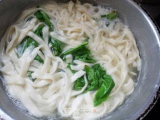 Fried Noodles recipe