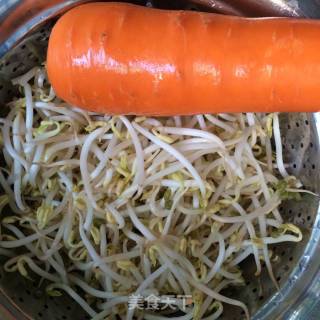 Carrot and Bean Sprouts recipe