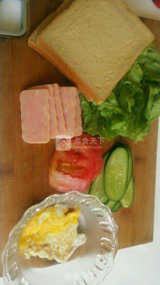 Nutritious Sandwich recipe