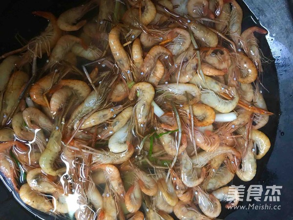 Brine Shrimp recipe