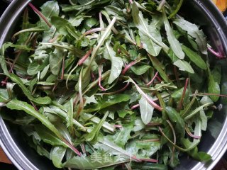 Homemade Dandelion Tea (quick Steaming and Drying Method) recipe