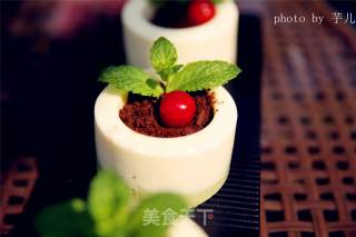 #四session Baking Contest 堲是爱吃节# Yogurt Potted Mousse Cake recipe