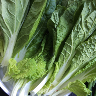 Cabbage with Oyster Sauce recipe