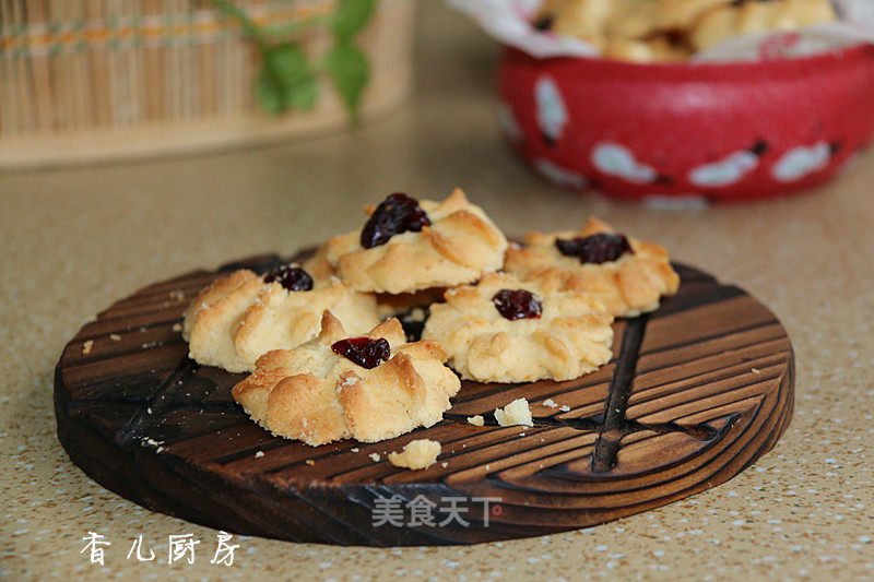 Shredded Coconut Cranberry Cookies recipe
