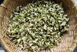 Steamed Sophora Japonica with Oil recipe