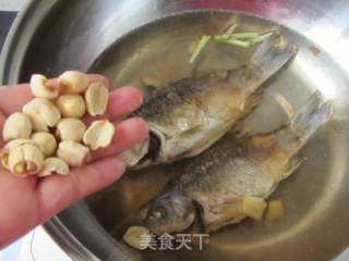 Lotus Seed Crucian Carp Soup recipe