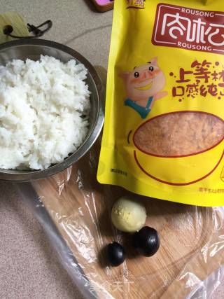 Dog Pork Floss Rice Ball recipe